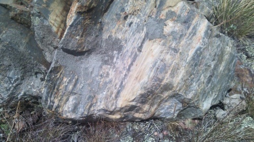 Гигантские зелёные валуны для ландшафтного дизайна весом более 5 тонн купить в Республике Марий Эл